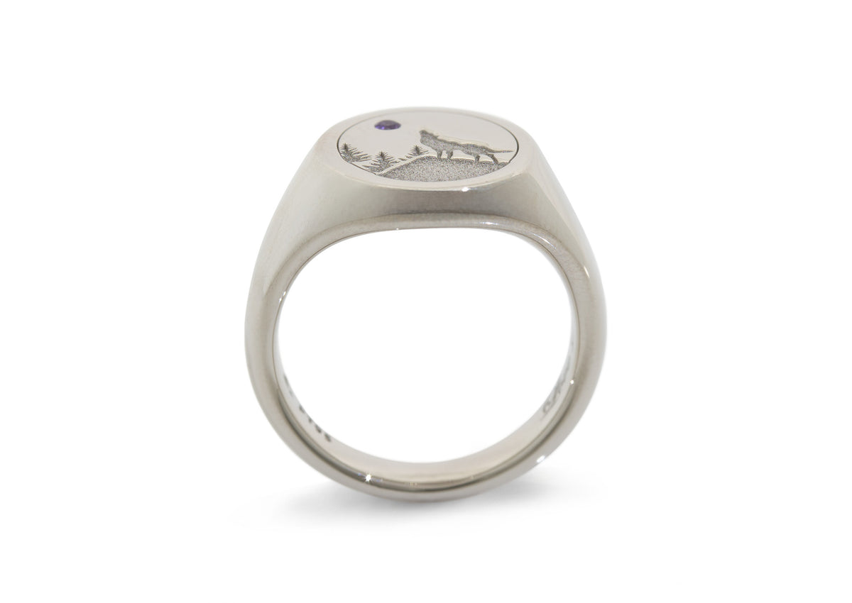 Custom Engraved Amethyst Signet Ring, Platinum
