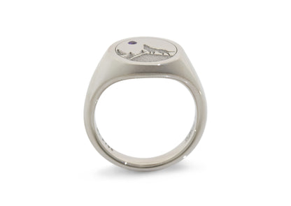 Custom Engraved Amethyst Signet Ring, Platinum