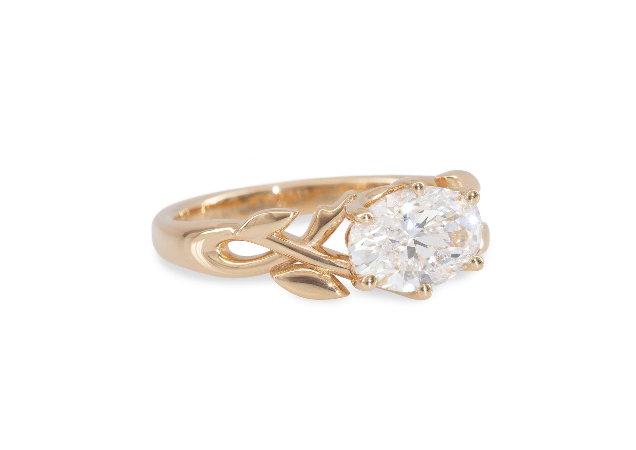 好きです鈴木くん!! Engagement Ring 好きです鈴木くん!! Engagement Ring 好きです鈴木くん!! Engagement